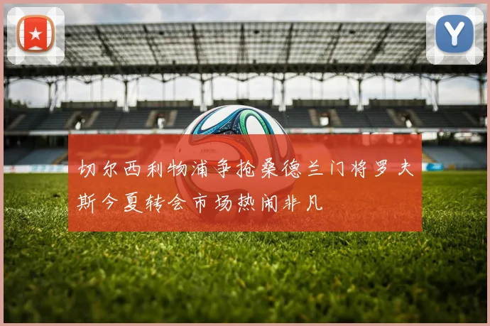 切尔西利物浦争抢桑德兰门将罗夫斯今夏转会市场热闹非凡